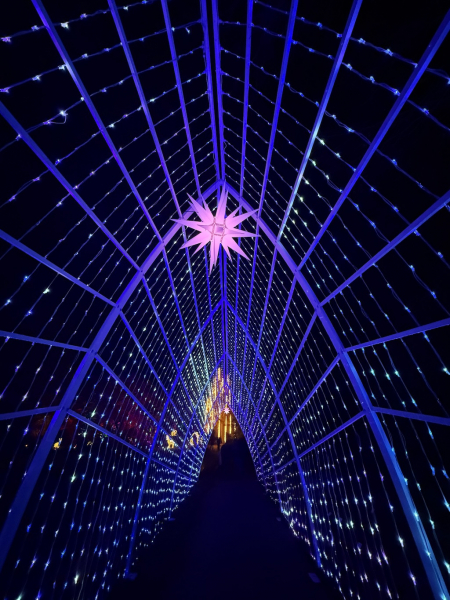 Christmas Garden Hamburg 2025