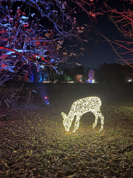 Christmas Garden Hamburg 2025