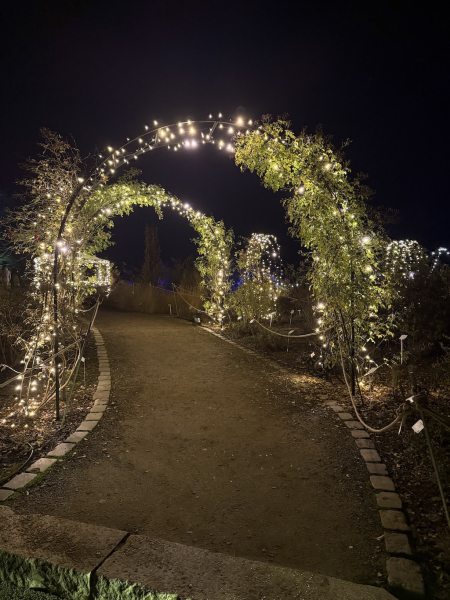 Christmas Garden Hamburg 2025