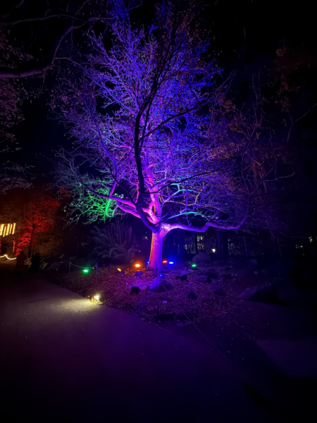 Christmas Garden Hamburg 2025