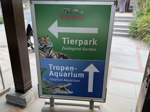 Dschungel-Nächte 2025 im Tierpark Hagenbeck