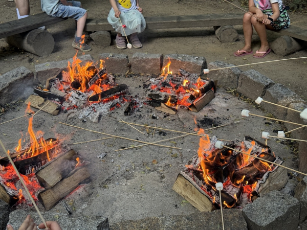 Dschungel-Nächte 2025 im Tierpark Hagenbeck