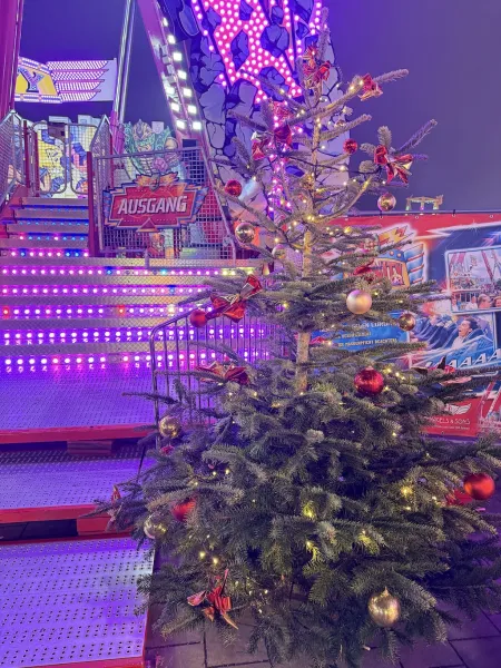 Hamburger Winterdom 2025