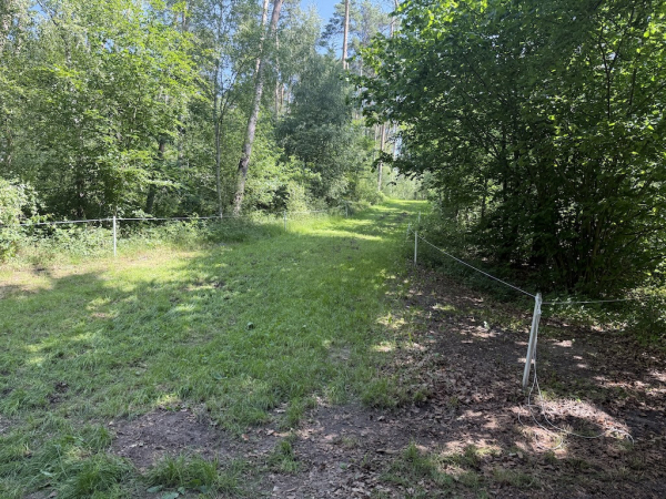 Longines Luhmühlen Horse Trials 2025